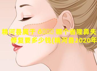 精河县属于 🐝 哪个省隆鼻失败修复要多少钱(精河县2020年新开工项目)